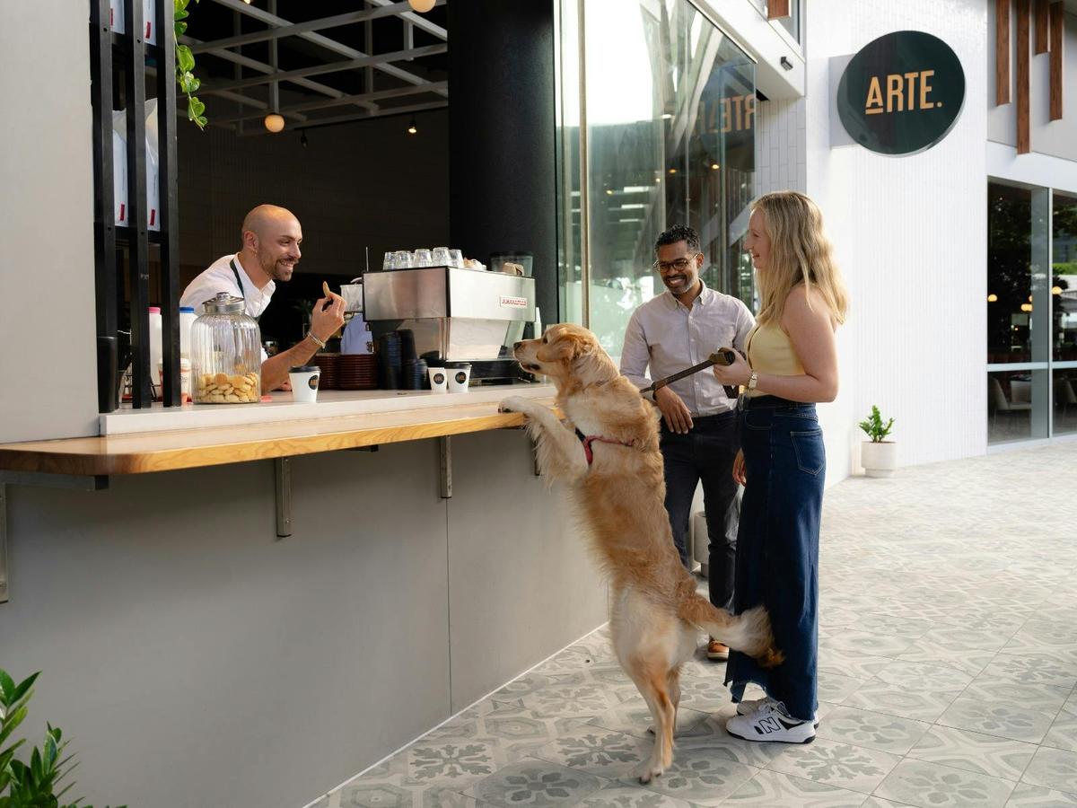 Dogs welcome