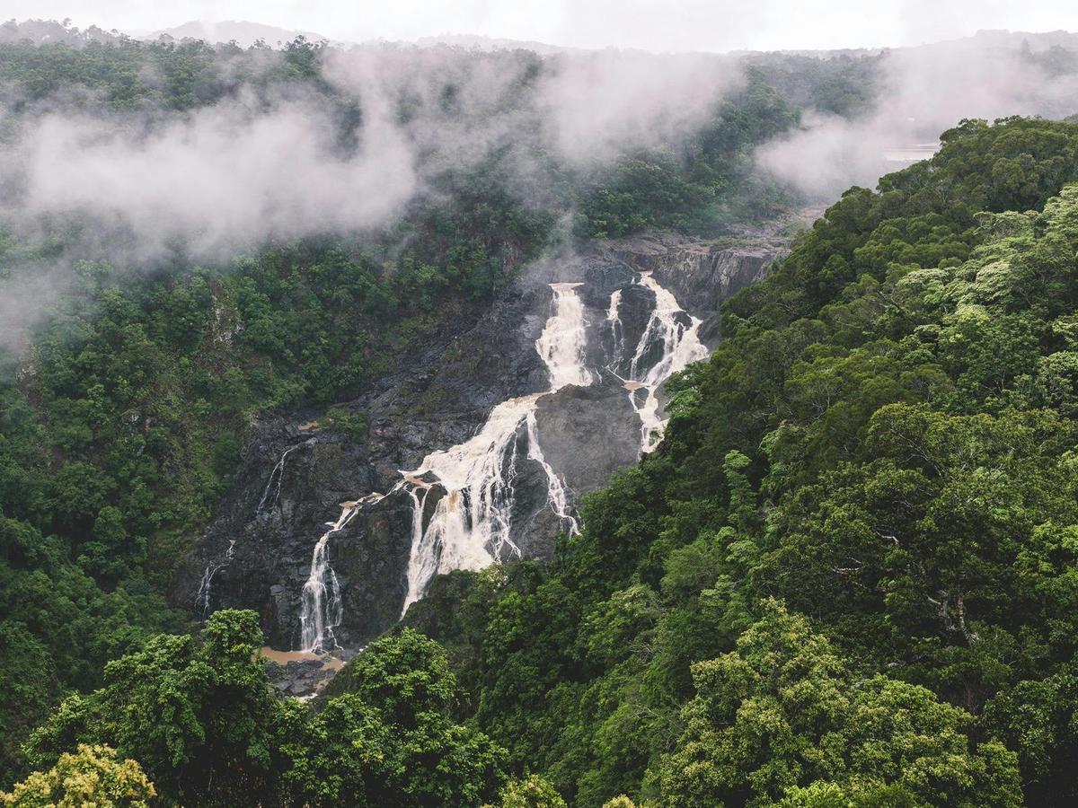 Barron Falls (Din Din)