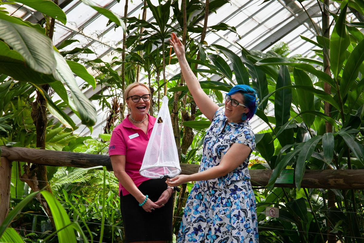 A private butterfly release allows visitors to release a butterfly to take its first flight.