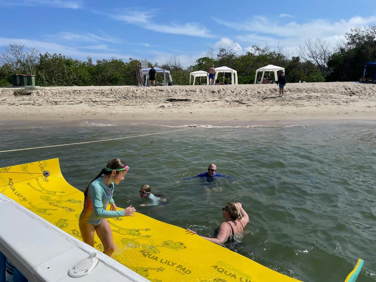 Surfers Paradise to Wavebreak Island 'Pelicans and Picnic' Shared Cruise