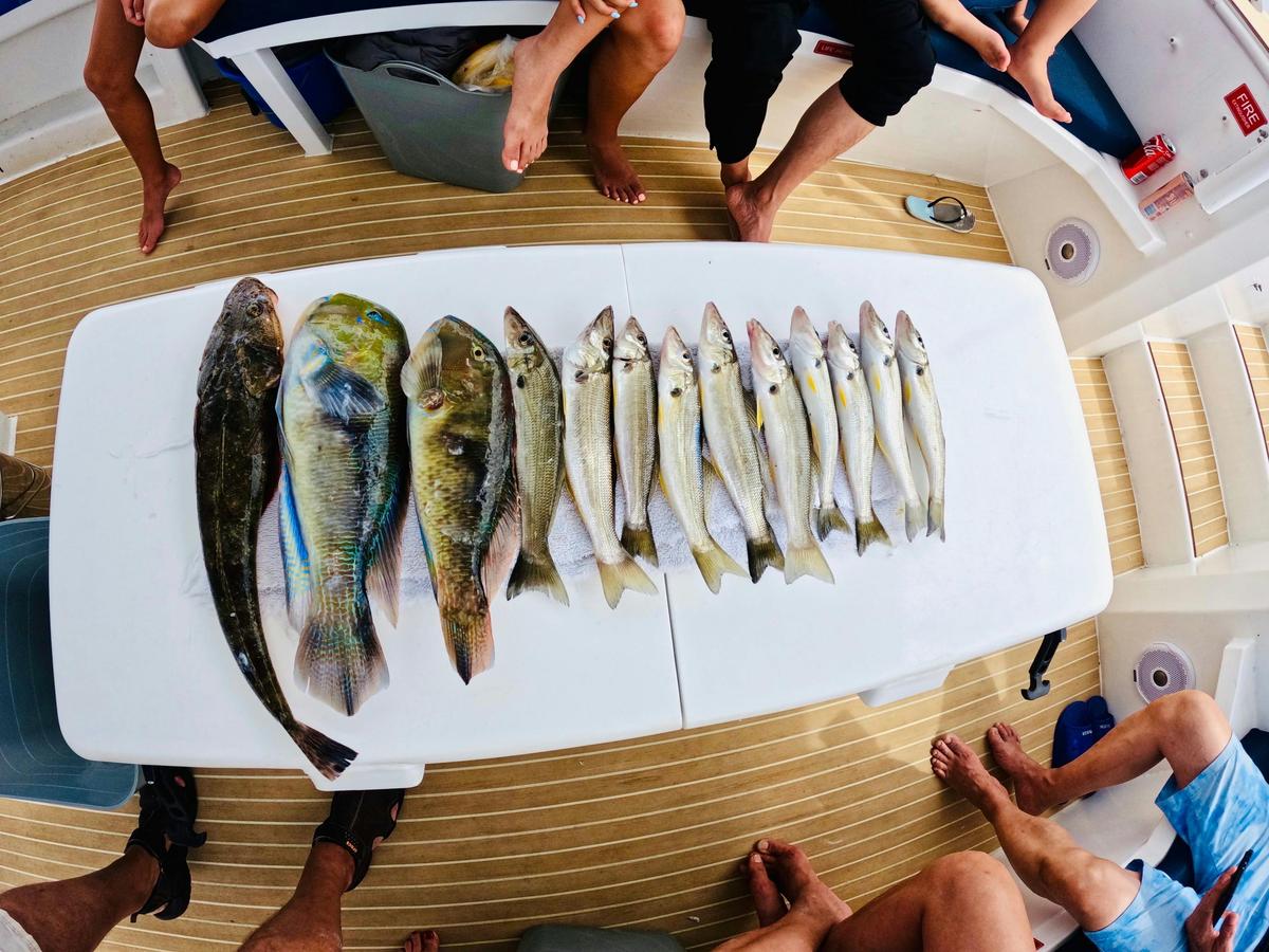 Private Broadwater Fishing