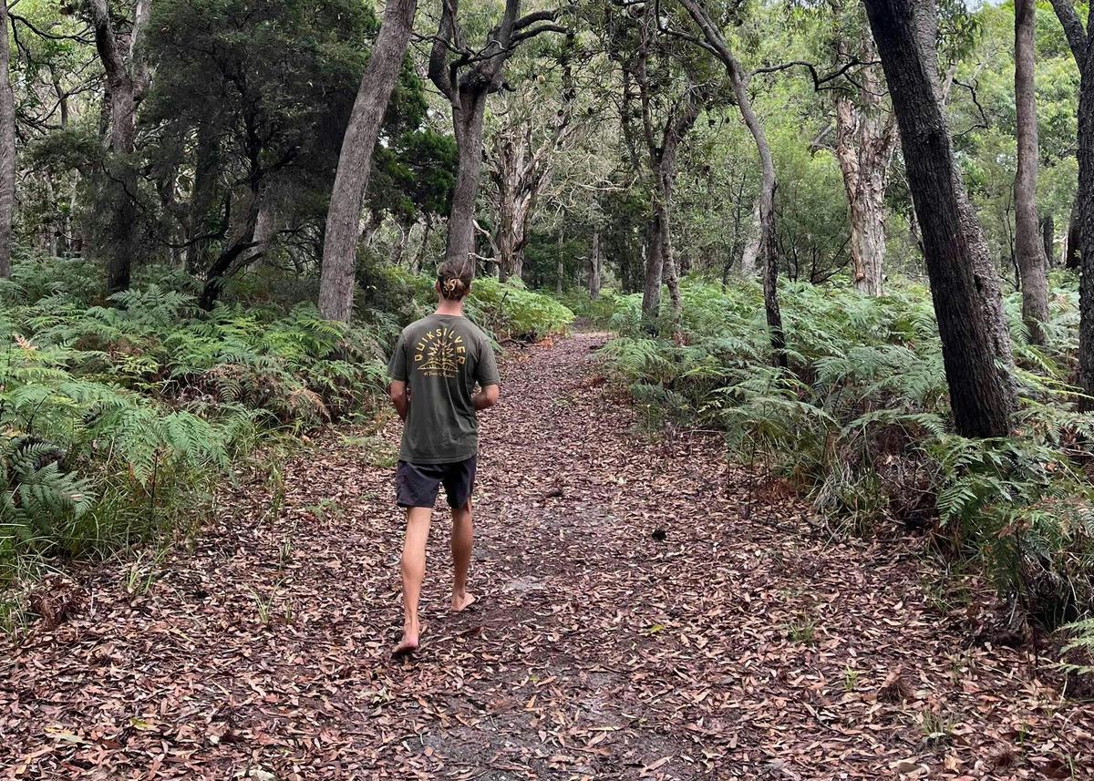From Surfers Paradise: Tour to Tipplers on South Stradbroke Island - 4 hour tour.