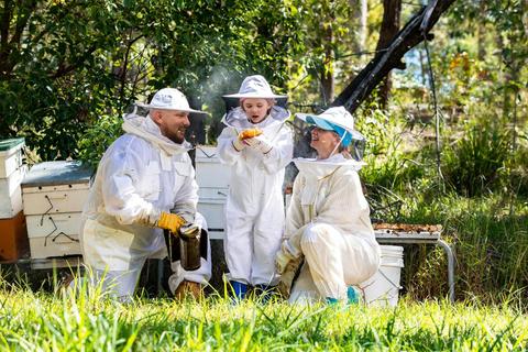 Bee a Bee Keeper