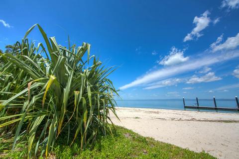 Bongaree Walkabout