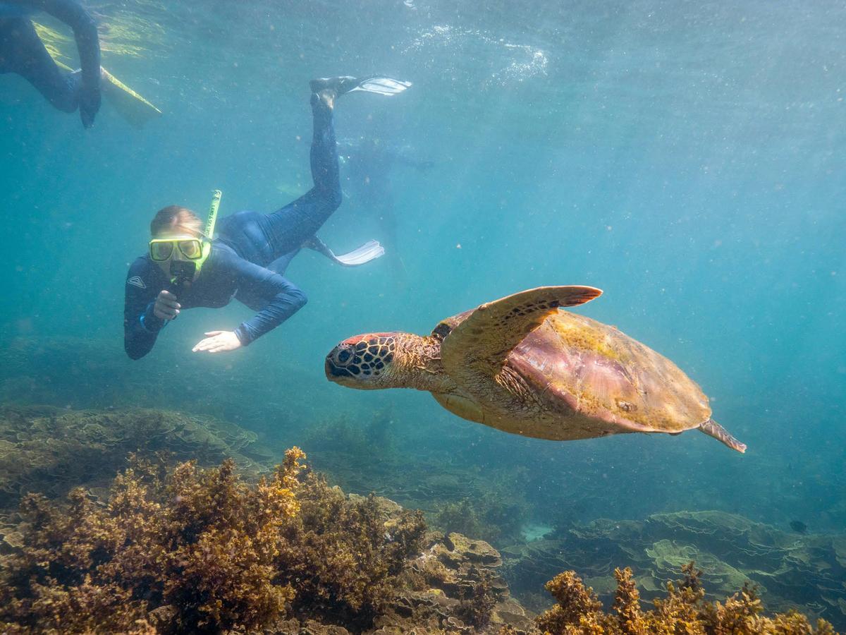 Reef and Rainforest Cycle Tour