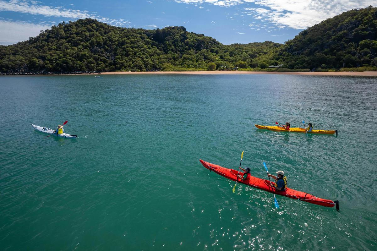 Reef and Rainforest Cycle Tour