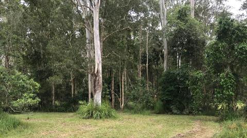 Aussie Camp