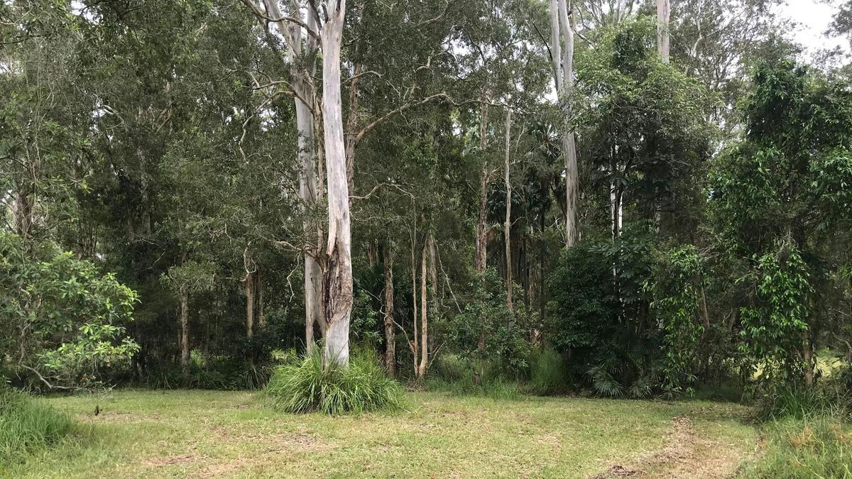 Aussie Camp
