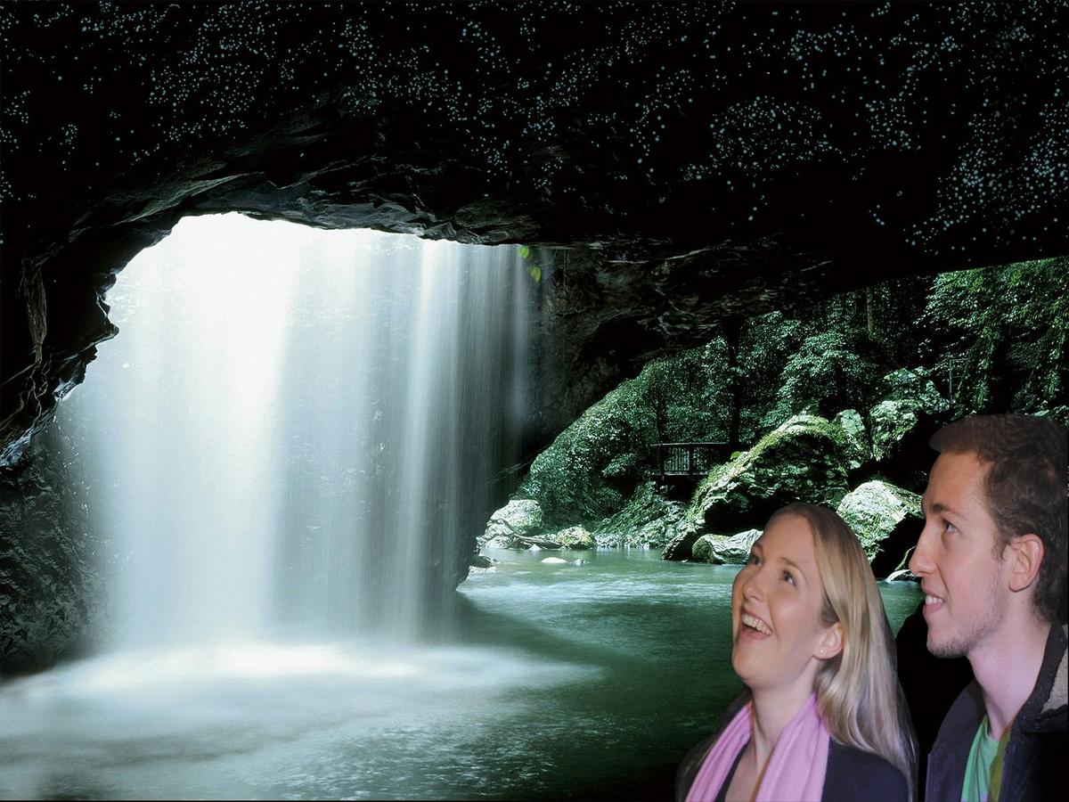 Natural Bridge Glow Worm Night Tour