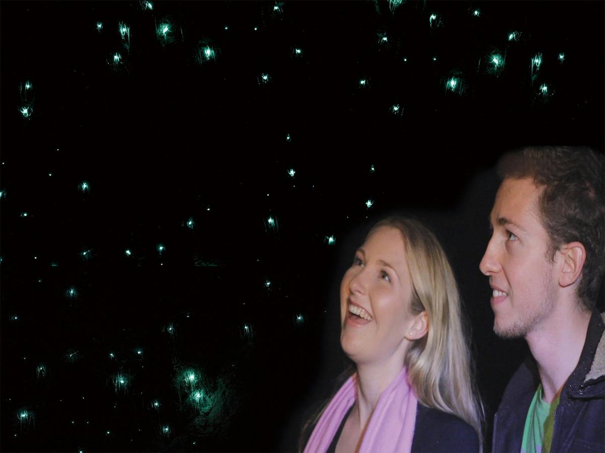 Natural Bridge Glow Worm Night Tour (Depart Gold Coast Only)