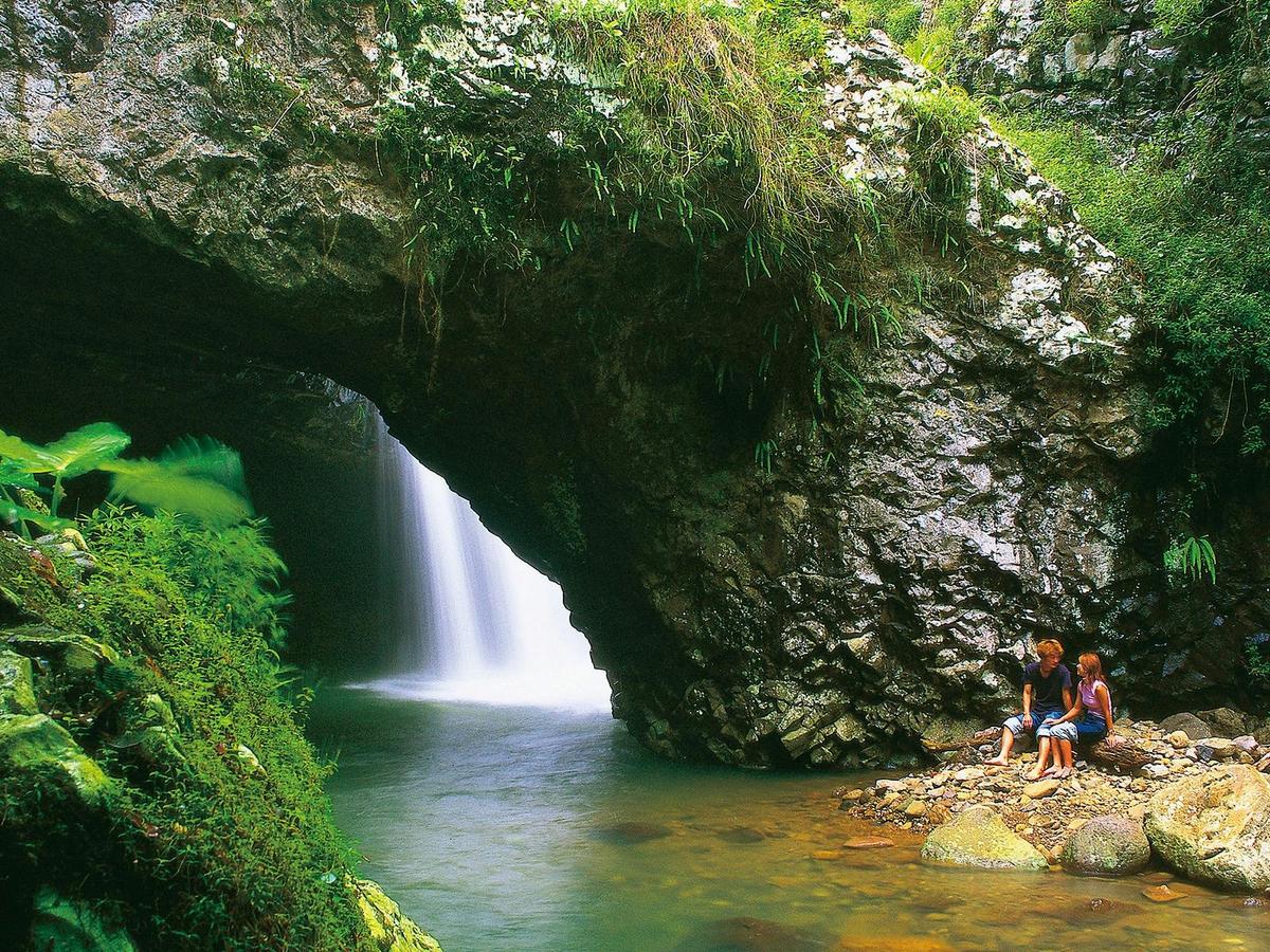 Natural Bridge Glow Worm Night Tour (Depart Gold Coast Only)