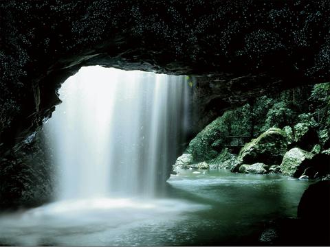 Natural Bridge Glow Worm Night Tour (Depart Gold Coast Only)