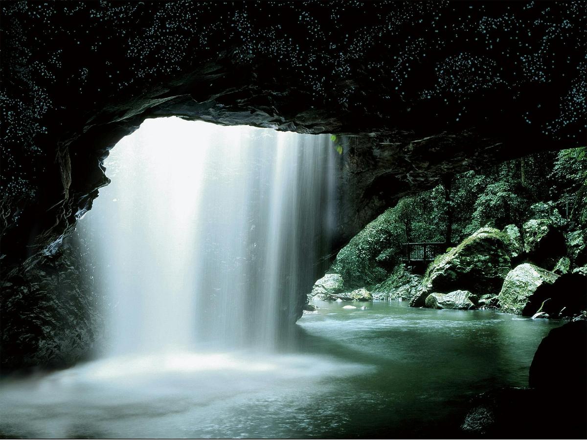 Natural Bridge Glow Worm Night Tour (Depart Gold Coast Only)