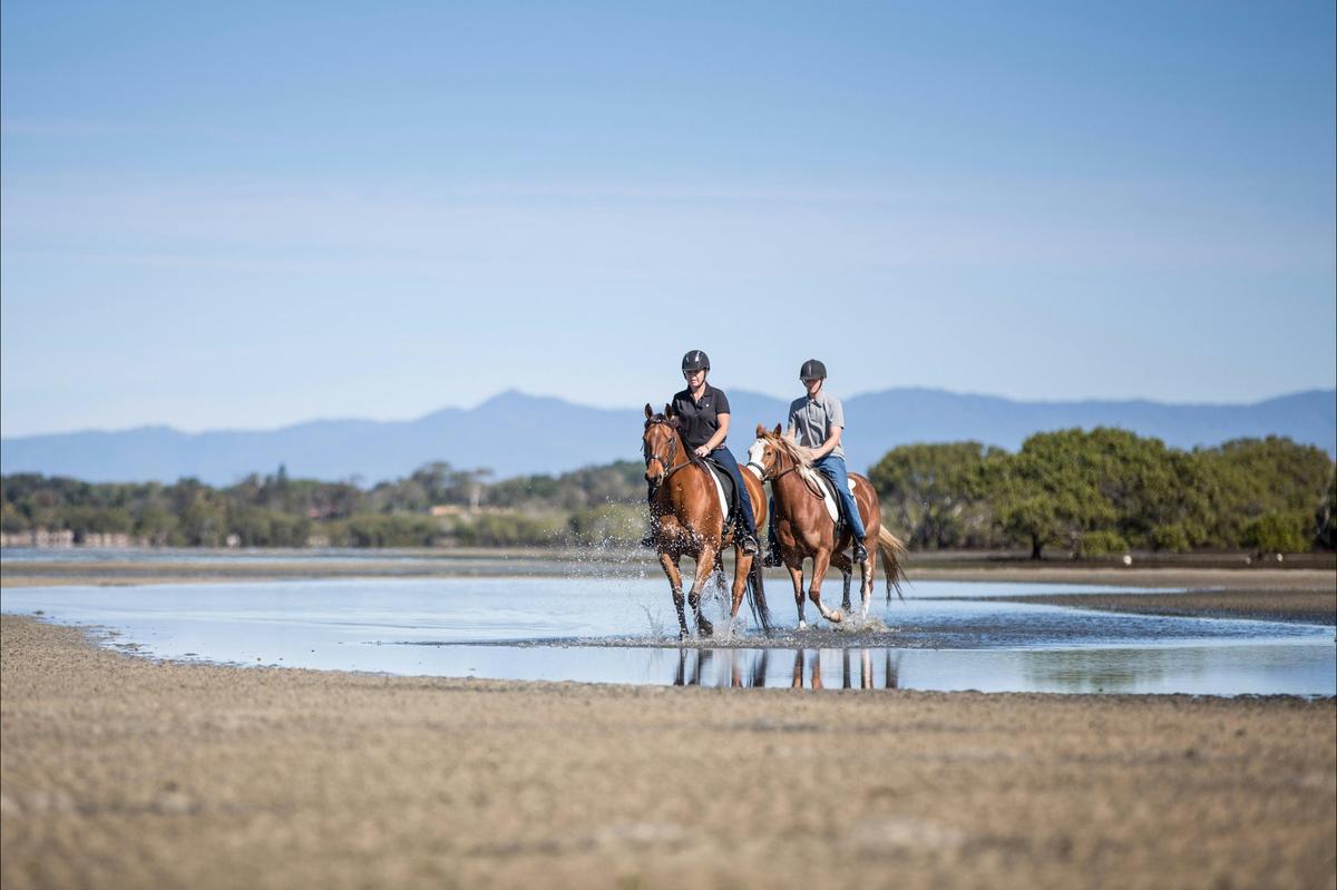 Horse riding at Beachmere