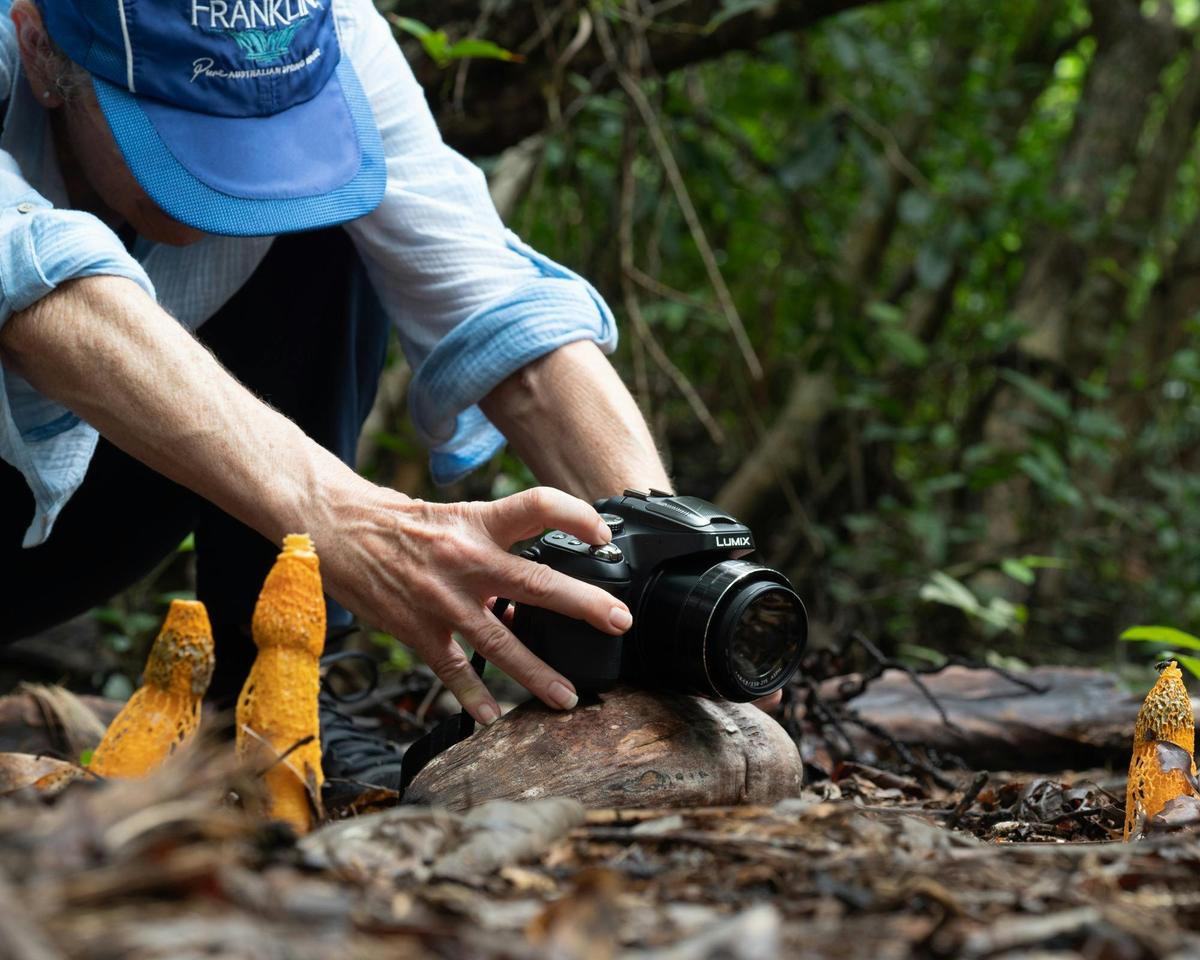 Let's Go Shroomin - Mushroom Photography Tour