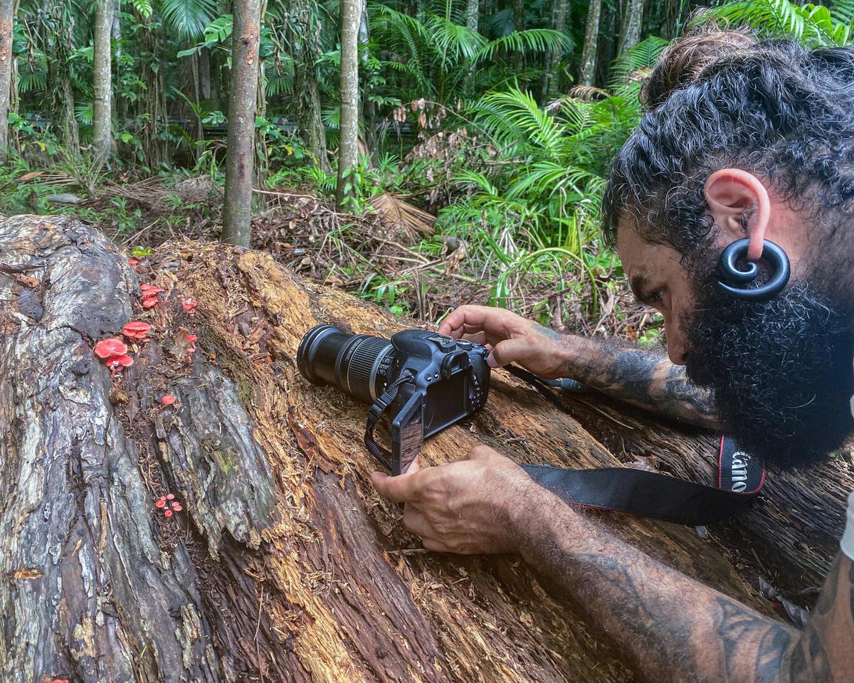 Let's Go Shroomin - Mushroom Photography Tour