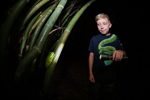 Night Walk in Cairns Botanic Gardens