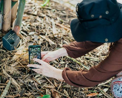 Let's Go Shroomin - Mushroom Photography Tour