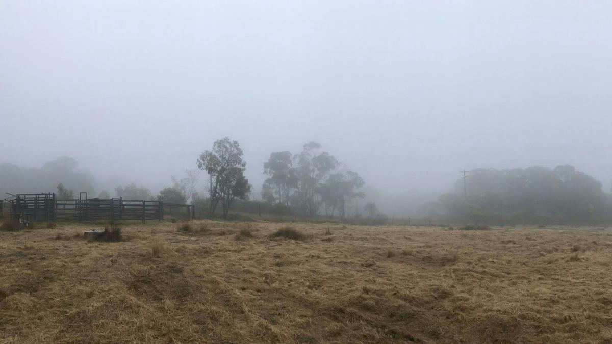 Mist in the early morning on our farm.