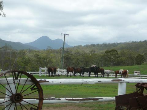 Camp Site