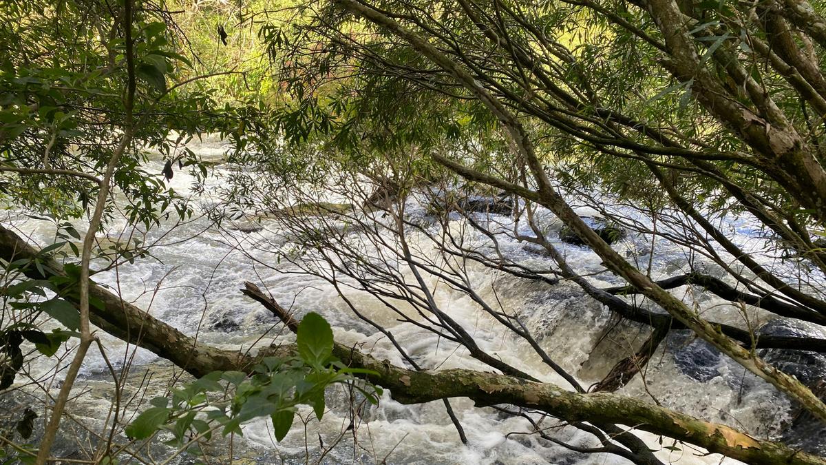 Barron River Retreat