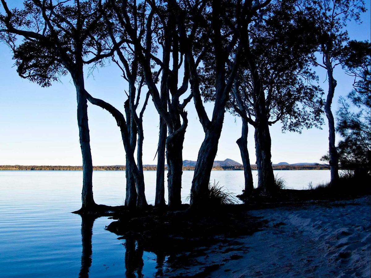 Lake Cootharaba