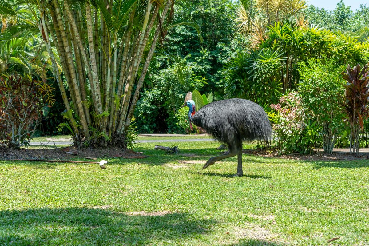 BIG4 Tasman Holiday Parks - South Mission Beach