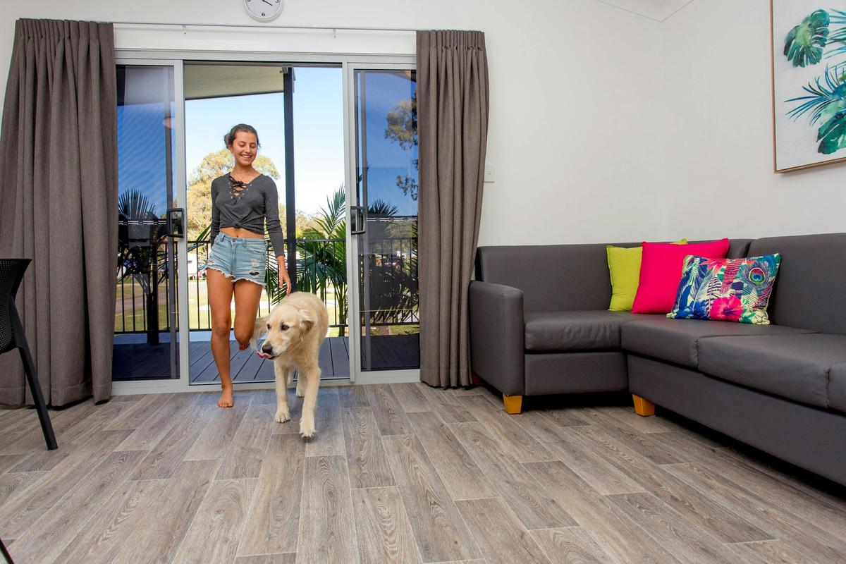 Dog Friendly