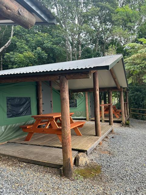 Binna Burra Lodge - Safari Tents