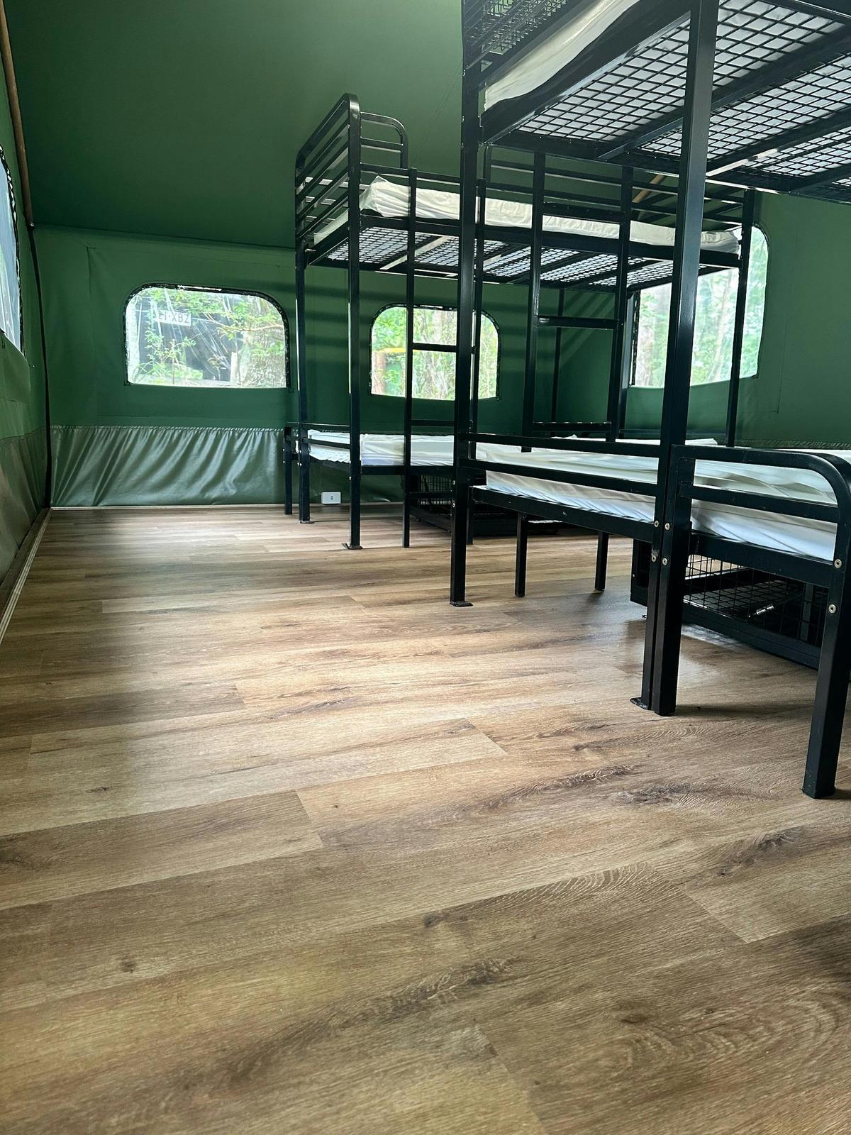 Binna Burra Lodge - Safari Tents