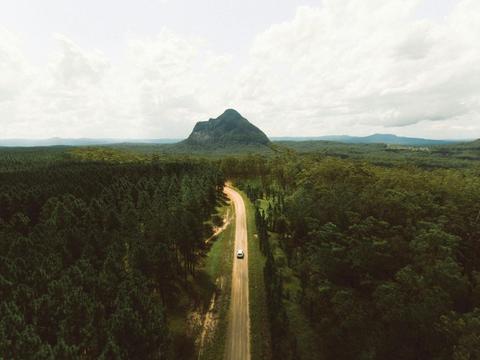Beerburrum