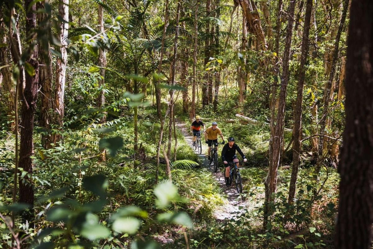 Explore the bushland trails of Bayview Conservation Area with friends or family on bikes.