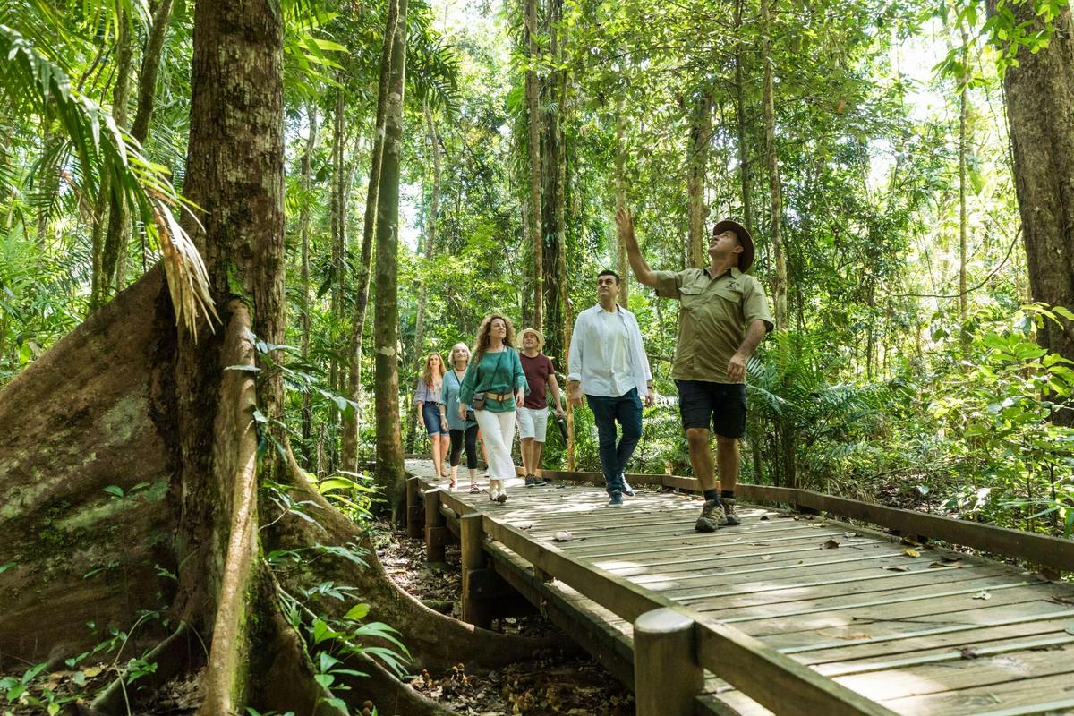Guided Rainforest Boardwalk Tour
