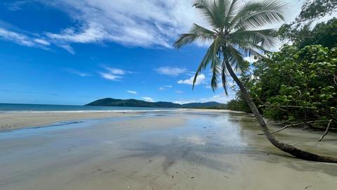 2 Day Reef and Rainforest Tour