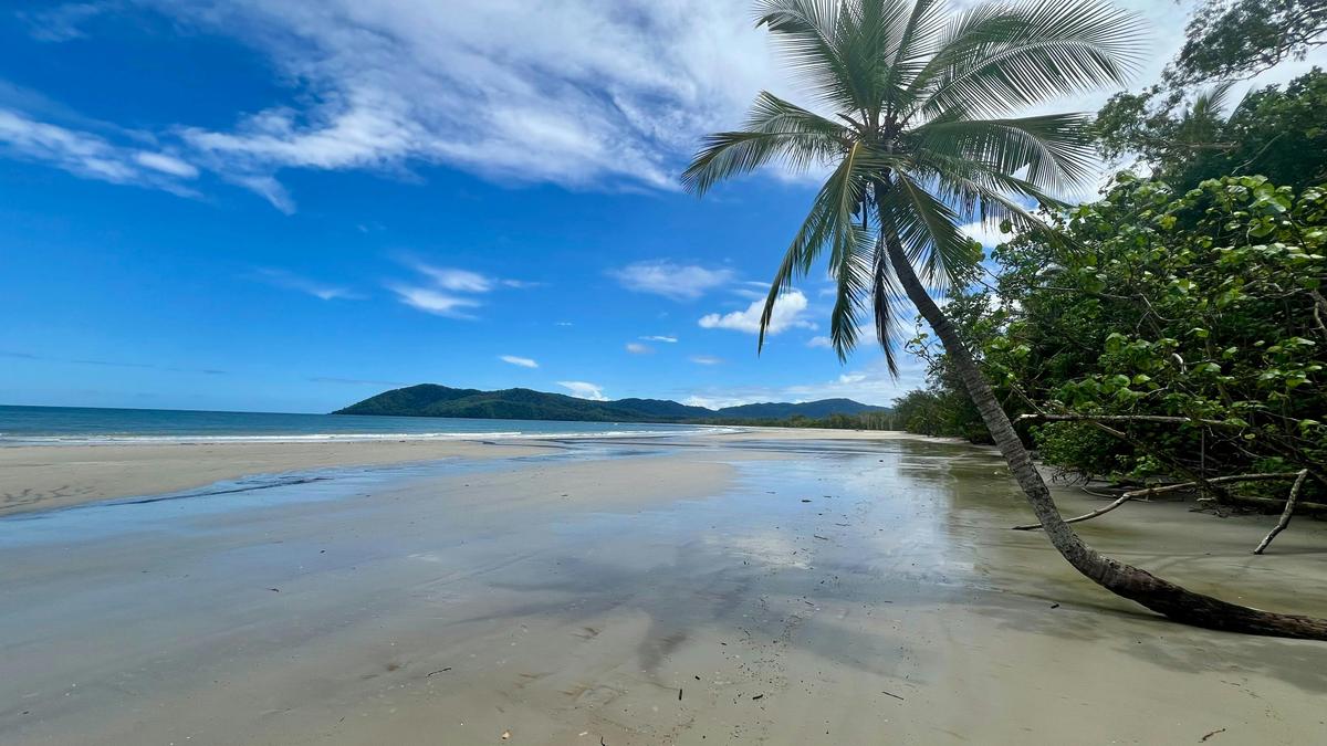 2 Day Reef and Rainforest Tour