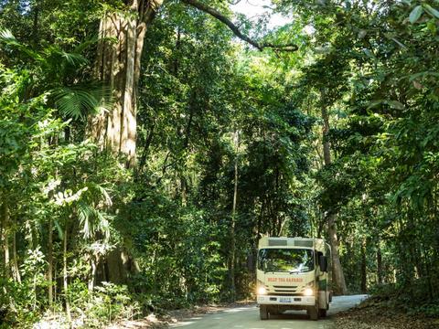 Billy Tea Safaris