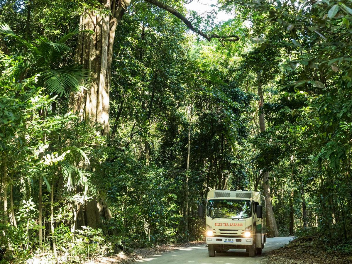 3 Day Reef, Rainforest and Outback Tour