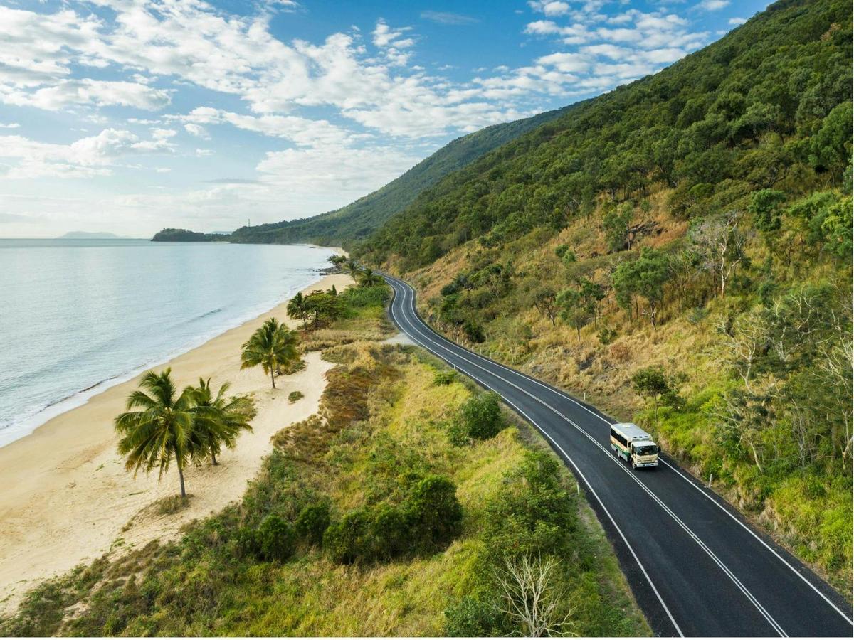 Daintree Rainforest & Cape Tribulation Full Day Tour