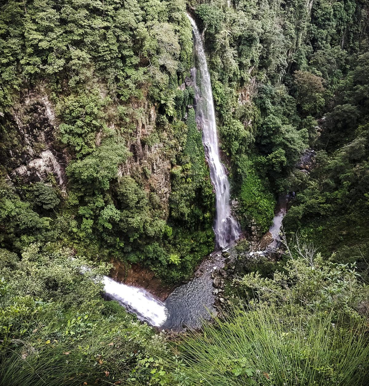 self guided hikes in Lamington National PArk