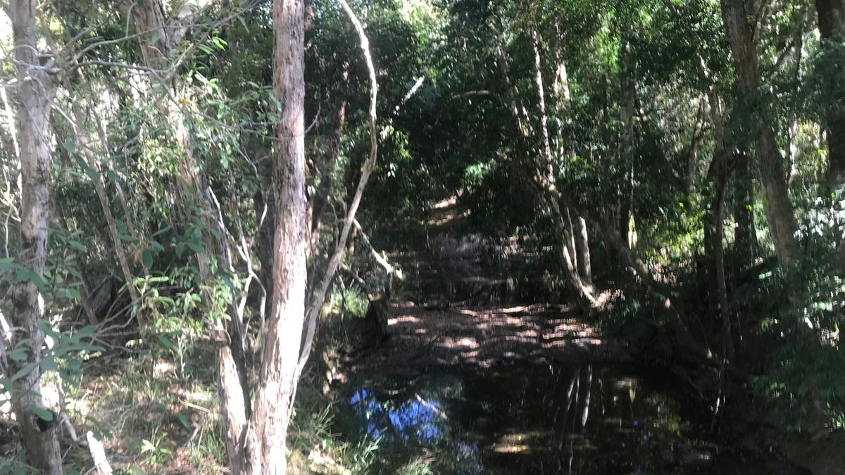 Creek next to camp area