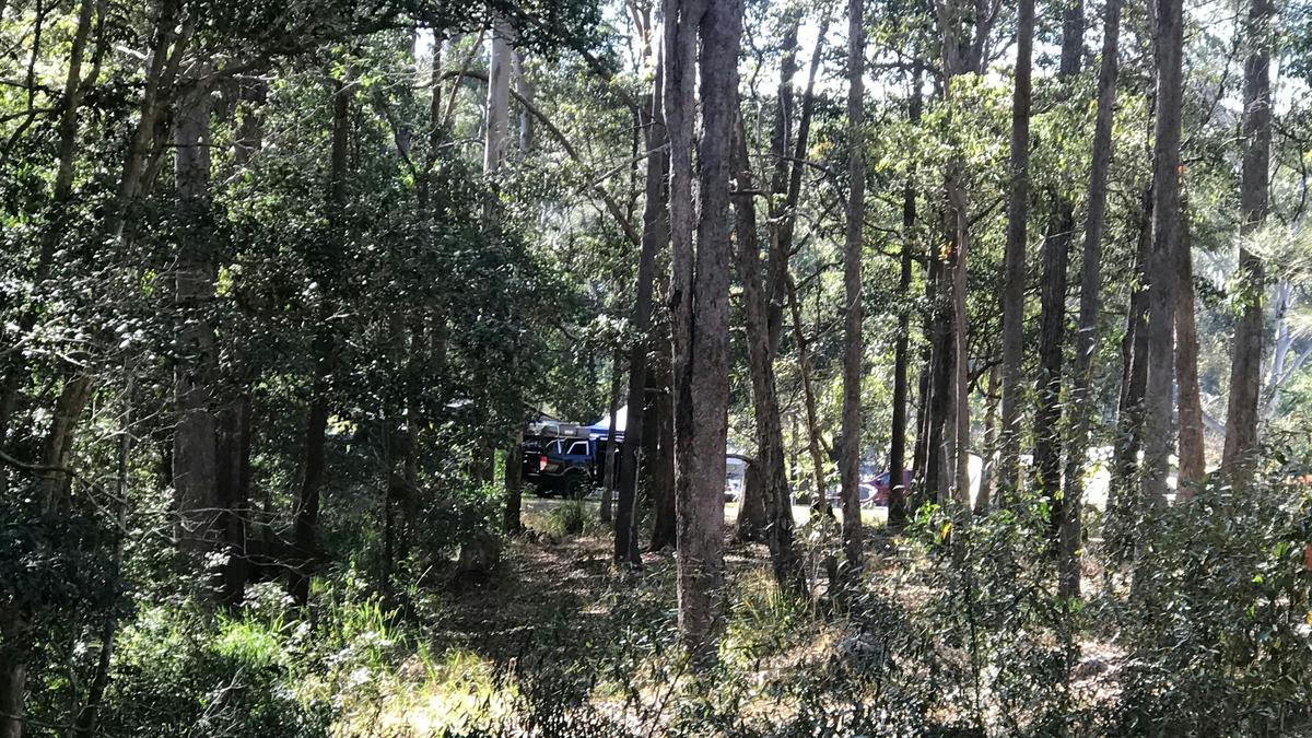 Alternate camp in trees