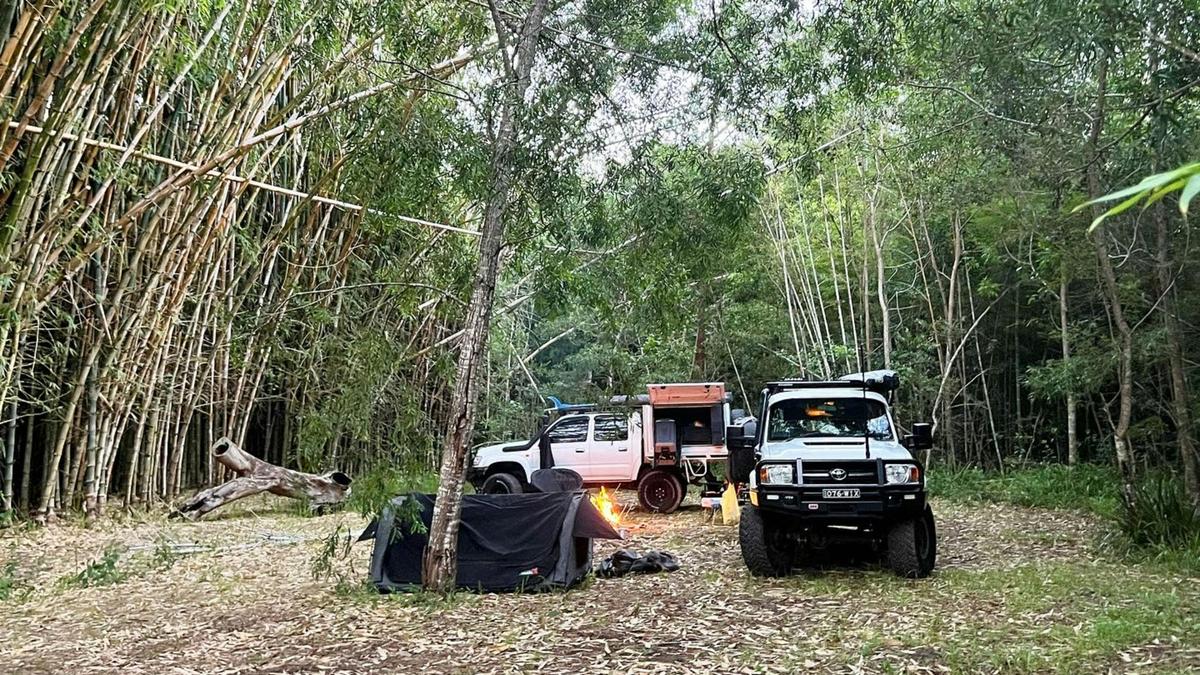 Belli Bamboo Parkland