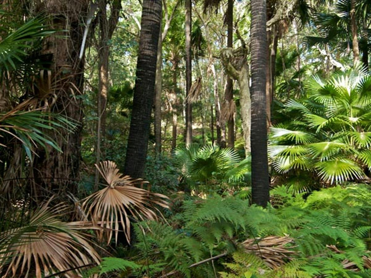 Munmorah State Conservation Area