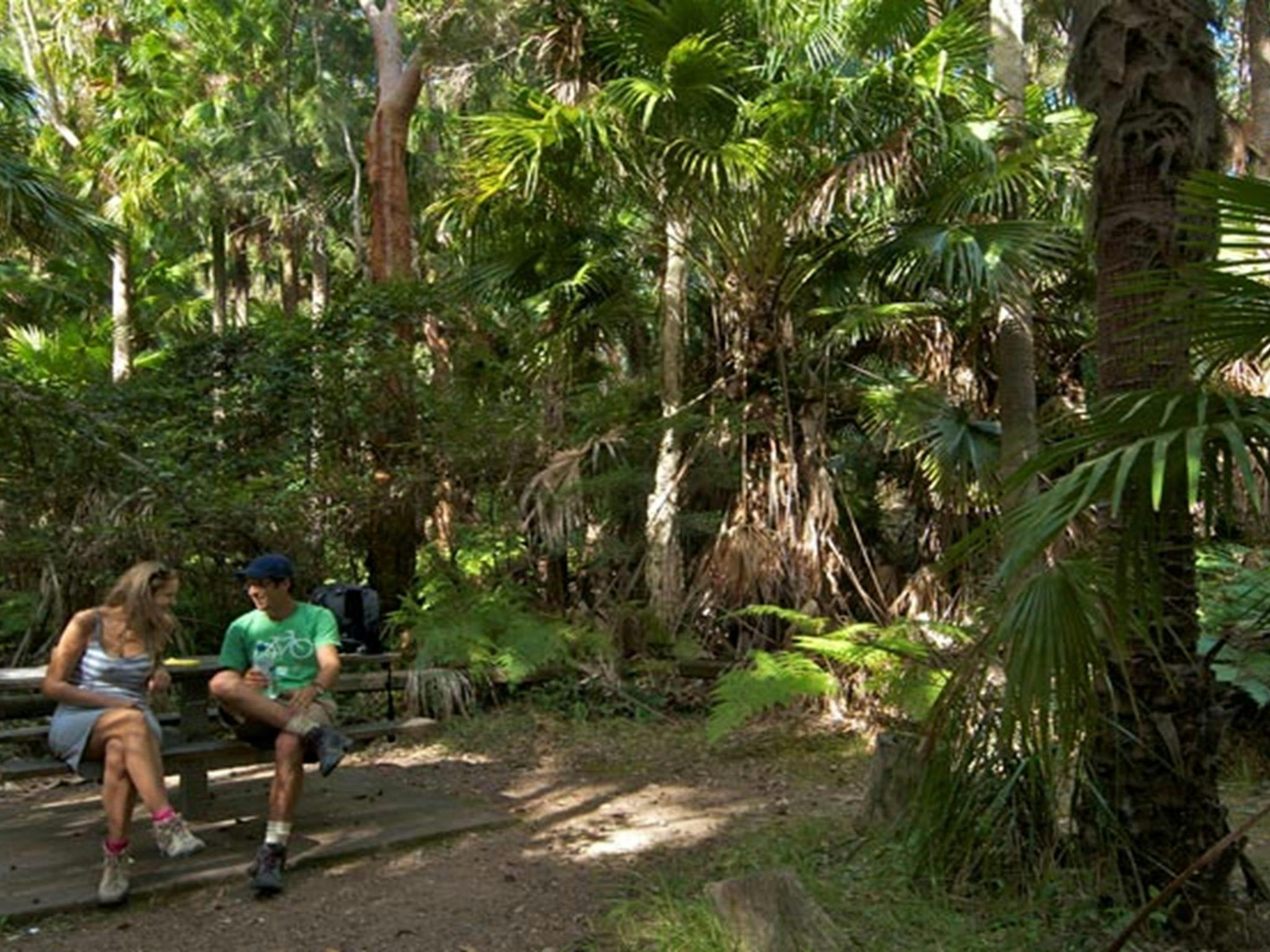 Palms picnic area benches, Munmorah State Conservation Area. Photo: John Spencer &copy; DPIE