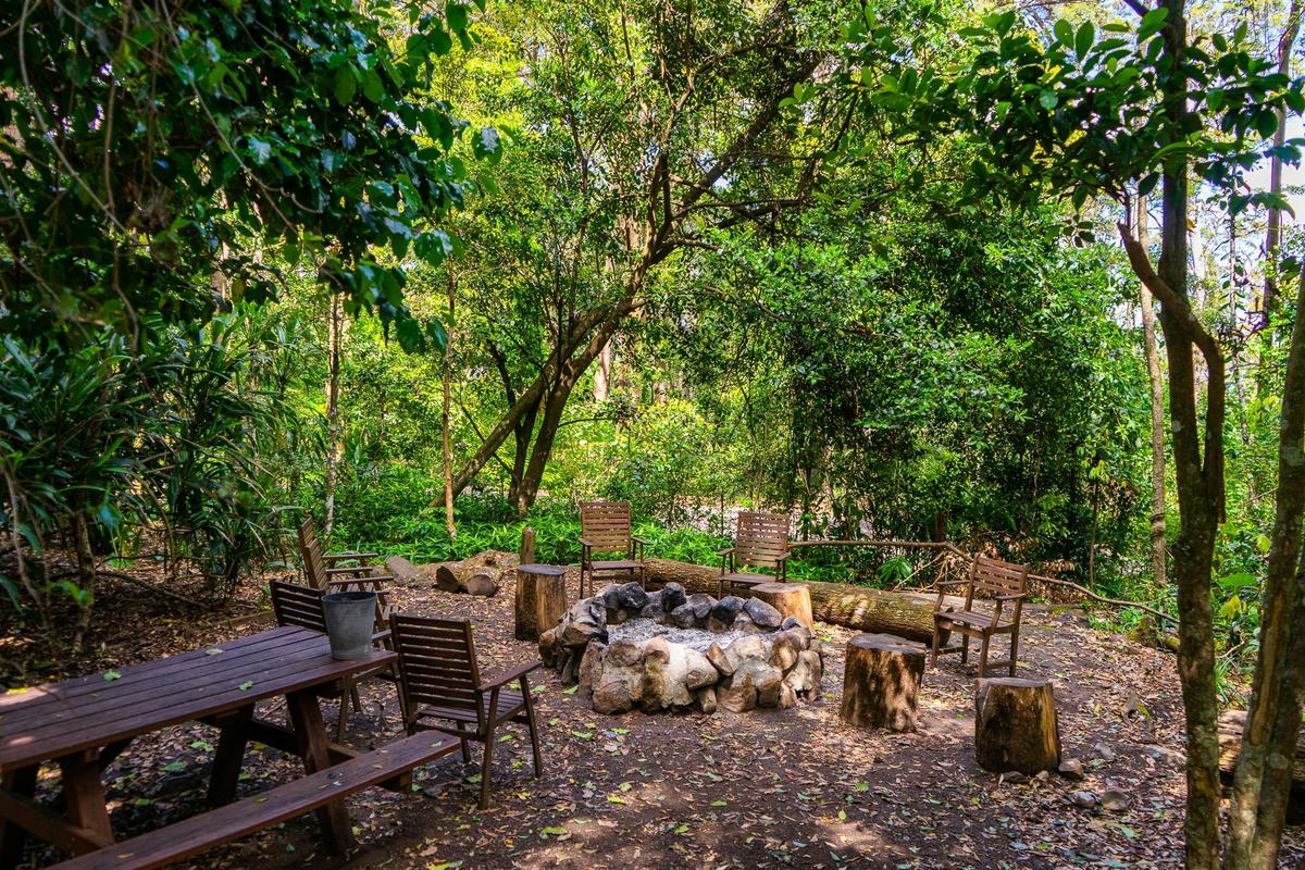 Binna Burra Lodge - Rainforest campsite