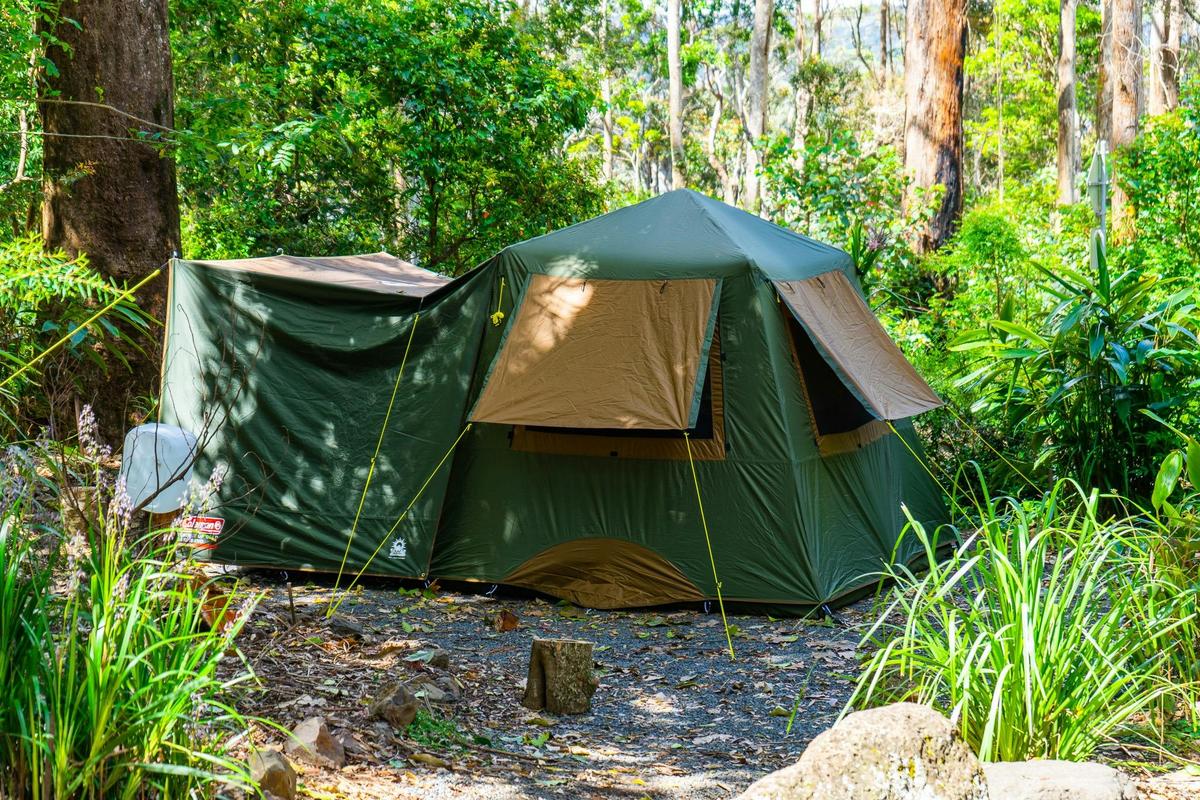 Binna Burra Lodge - Rainforest campsite