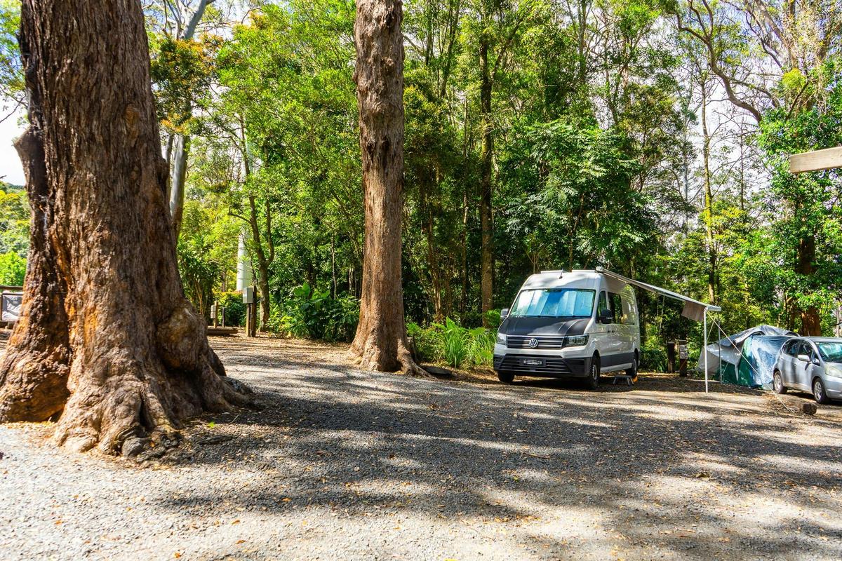 Binna Burra Lodge - Campsite
