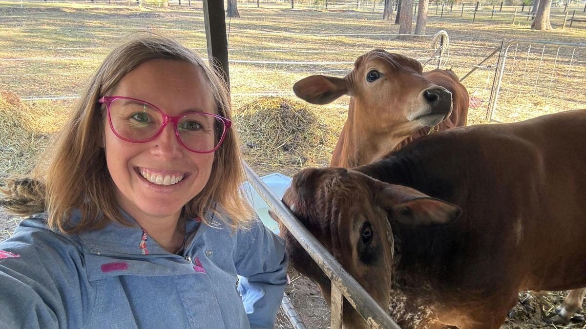 Blackbutt Permaculture Farm Camp