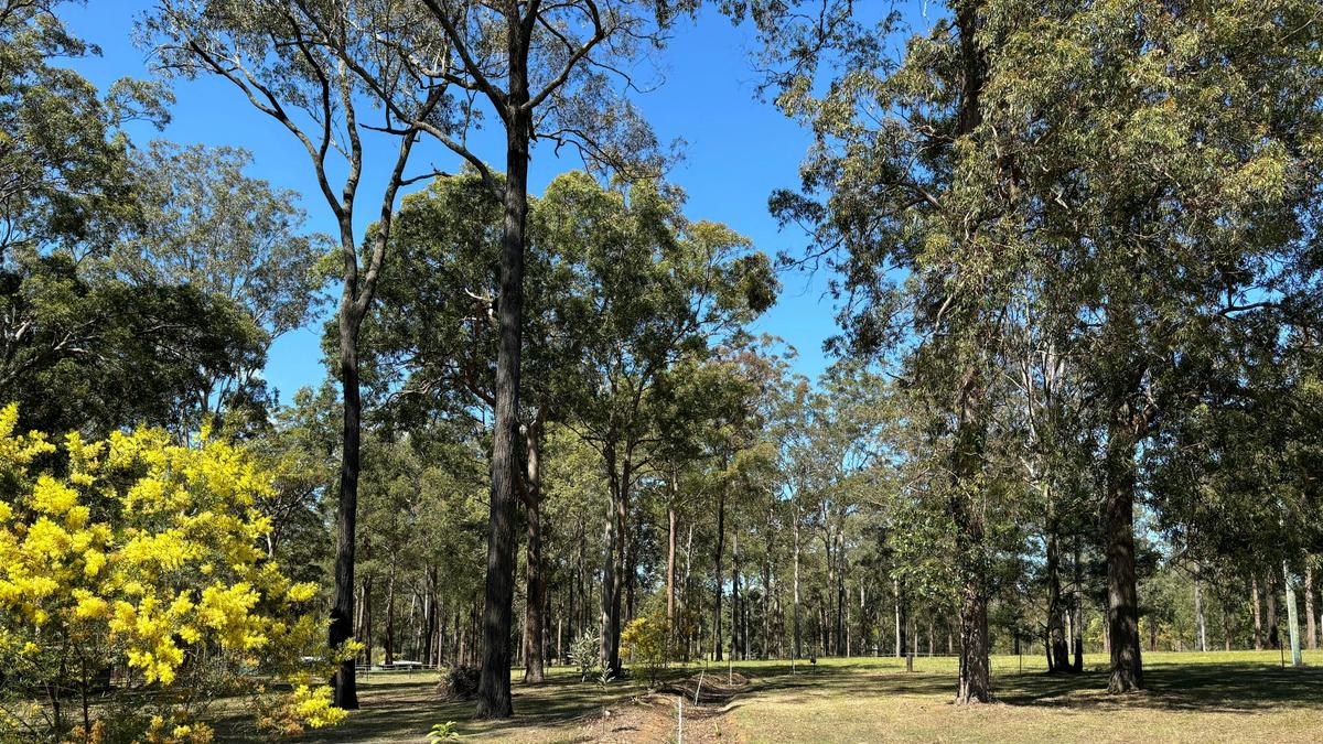 Blackbutt Permaculture Farm Camp
