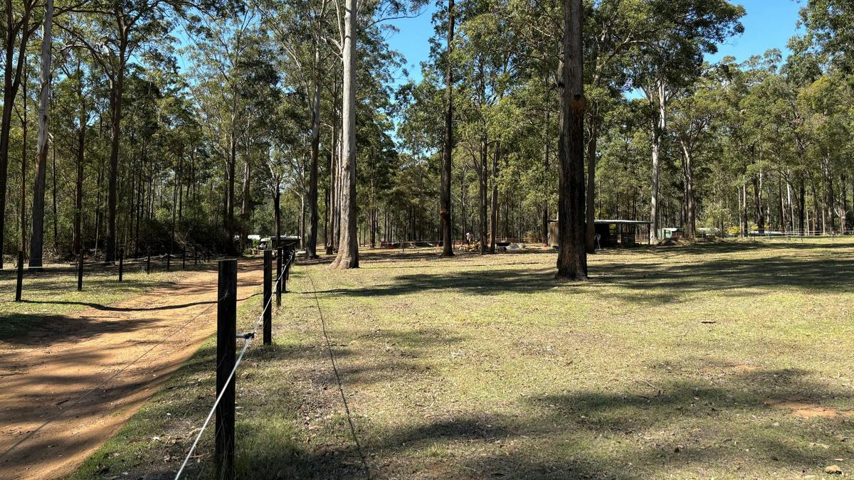 Blackbutt Permaculture Farm Camp